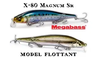 MINNOW X-80 MAGNUM SR : 115MM - 15GR