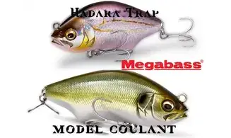 PENCIL HADARA TRAP : 86MM - 29GR
