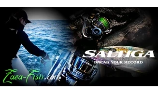 DAIWA SALTIGA 6000-P 2023 : MOULINET JDM