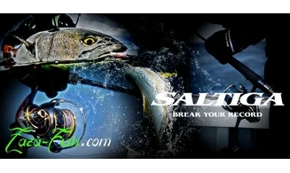 DAIWA 23 SALTIGA 6000-H : MOULINET MER