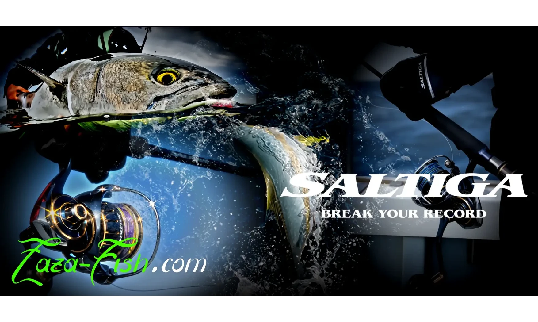 DAIWA 23 SALTIGA 6000-H : MOULINET MER