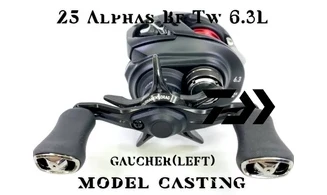 DAIWA 25 ALPHAS BF TW 6.3L GAUCHER