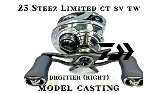 DAIWA 25 STEEZ LIMITED CT SV TW 70XH
