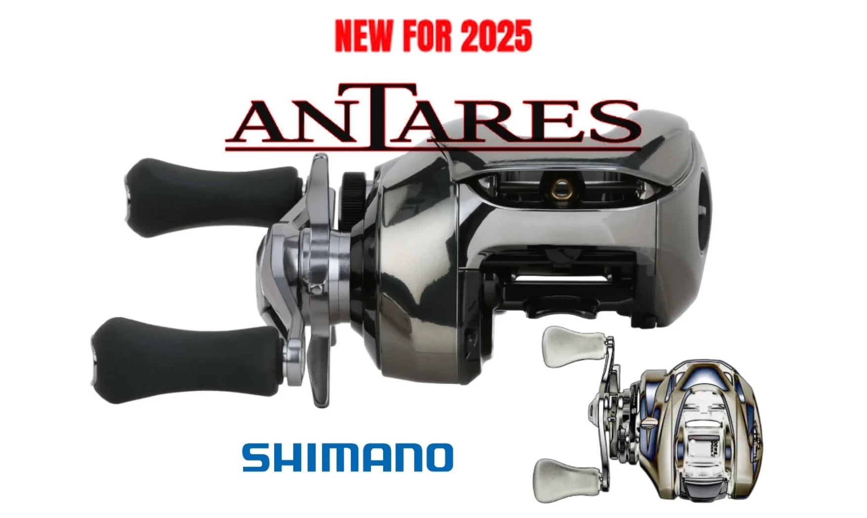 SHIMANO ANTARES 25 : RATIO MG - HG - XG
