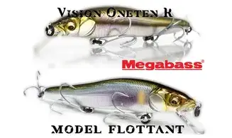 MINNOW VISION ONETEN R : 110 mm - 14gr