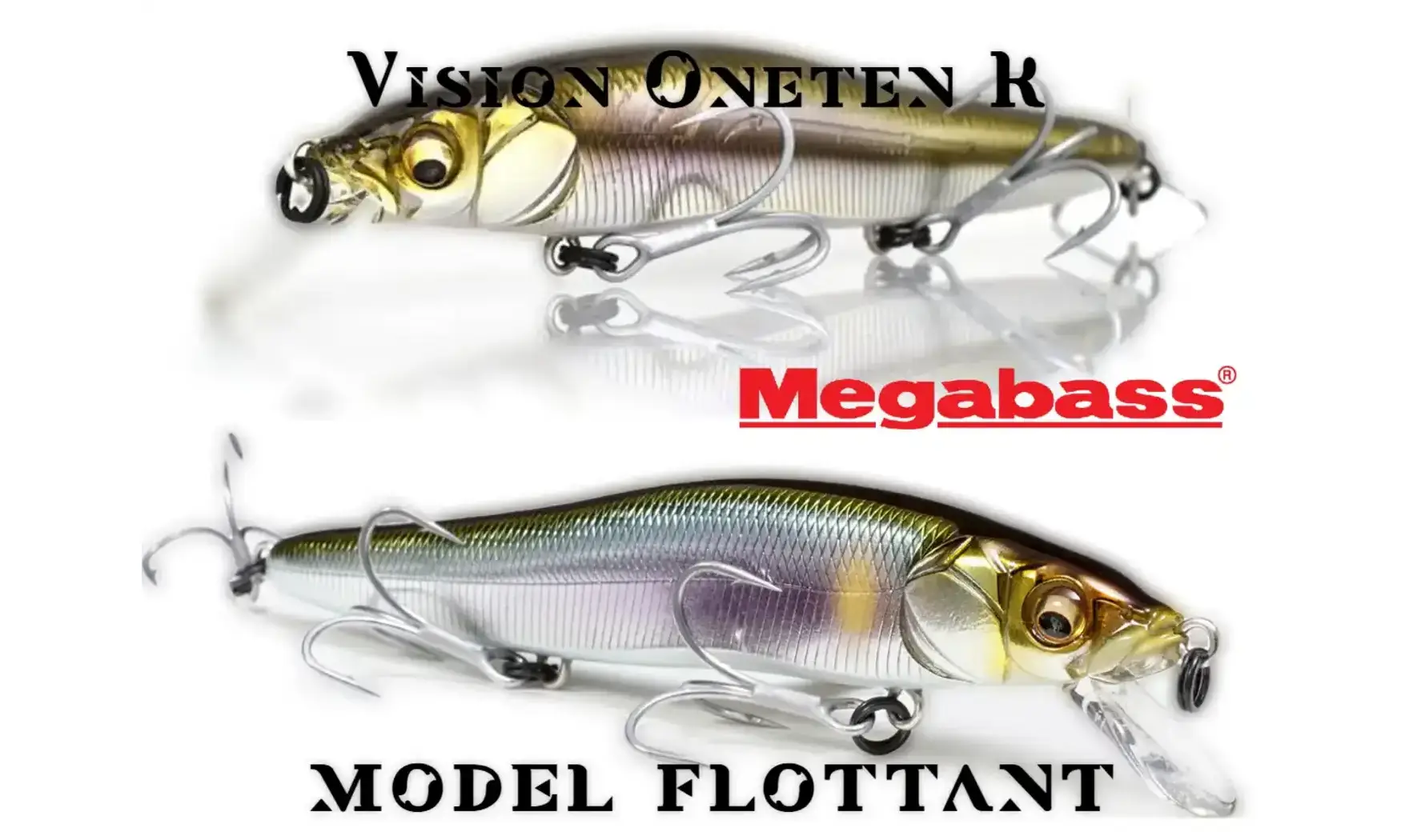 MINNOW VISION ONETEN R : 110 mm - 14gr