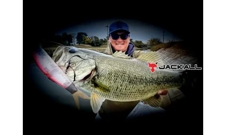 JACKALL KLUBER SF : GROS SWIMBAIT 180mm