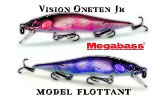 MINNOW VISION ONETEN Jr : 98 mm - 11gr