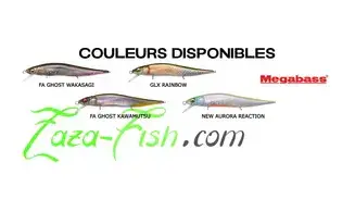 MINNOW VISION ONETEN Jr : 98 mm - 11gr