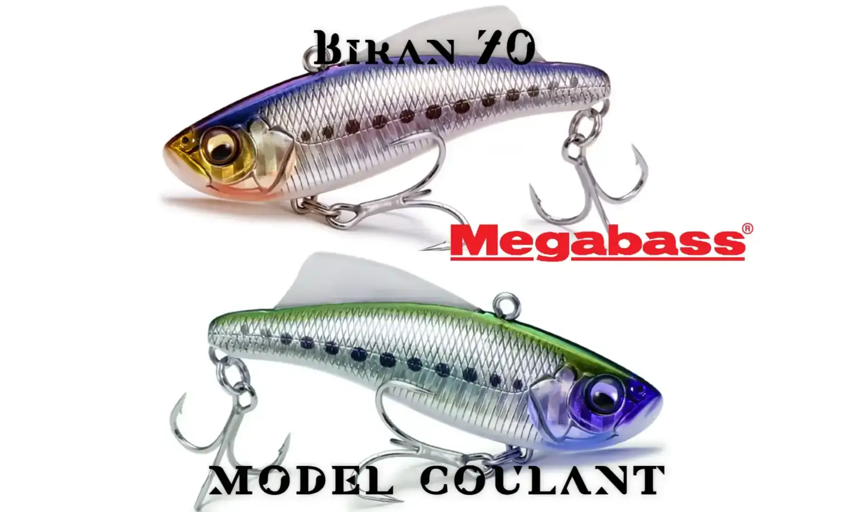 VIBRATION BIRAN 70 : 70MM - 15GR