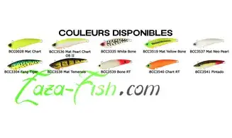 TOPWATER DUO FANGJAW : 110MM - 21GR