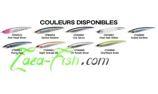 TOPWATER DUO FUMBLE : 230MM - 100GR