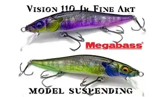MINNOW VISION ONETEN JR FINE ART FINISH
