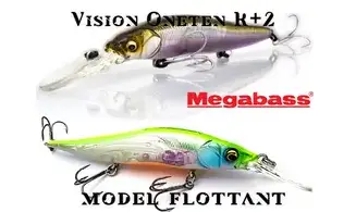 MINNOW VISION ONETEN R+2 / 110MM - 14GR