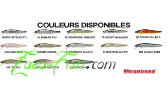 MINNOW VISION ONETEN R+2 / 110MM - 14GR