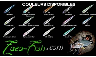 GACHIPEN 200 : STICKBAIT TOPWATER PLUG