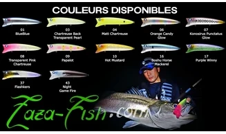 BLUEBLUE GABOZ 120 : LEURRE WAKEBAIT